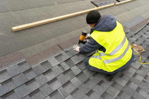 Best Roof Gutter Cleaning  in Lake Hiawatha, NJ